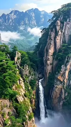 Cinematic Nature 