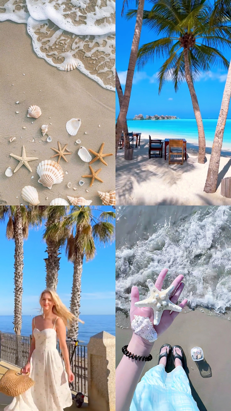 2 vidéos + 2 photos