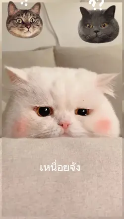 เหนื่อยมากเลยอะ