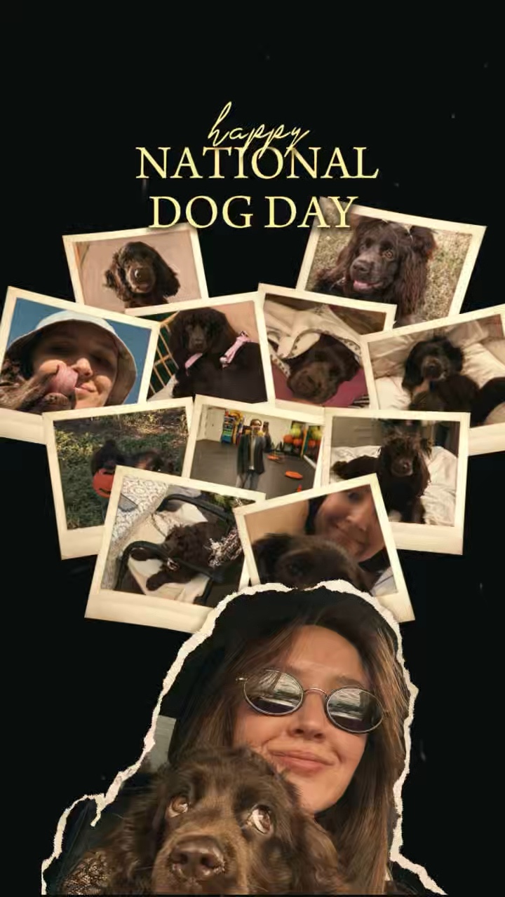Dia Nacional 🐶