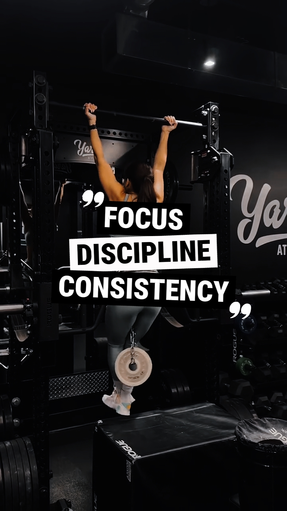 focus discipline 