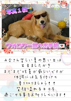 フォロワー様へお手紙/写真１枚