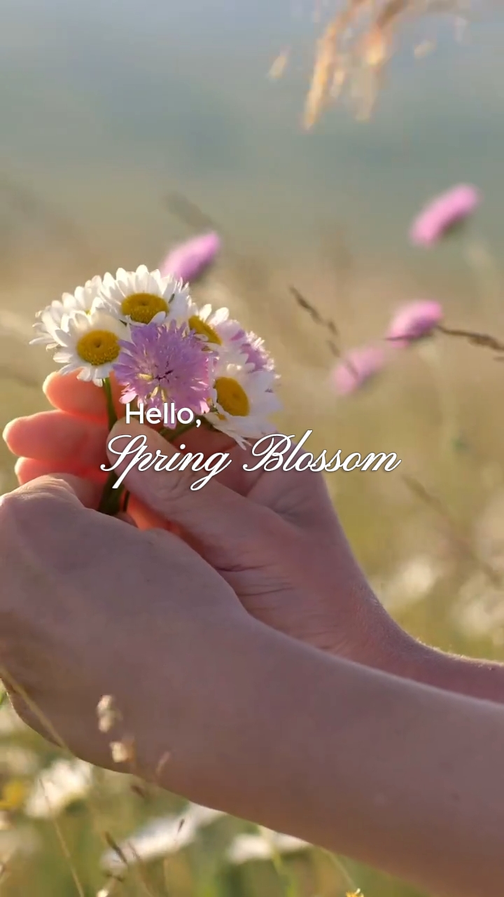Bonjour fleur de printemps