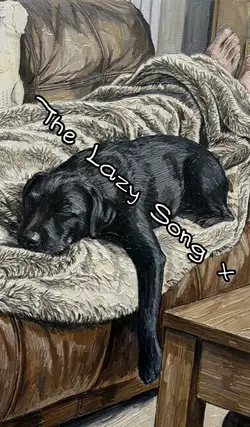 The Lazy Song x