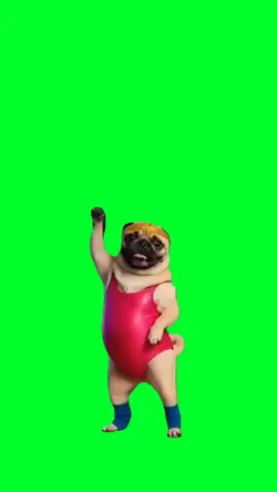 Pug workout