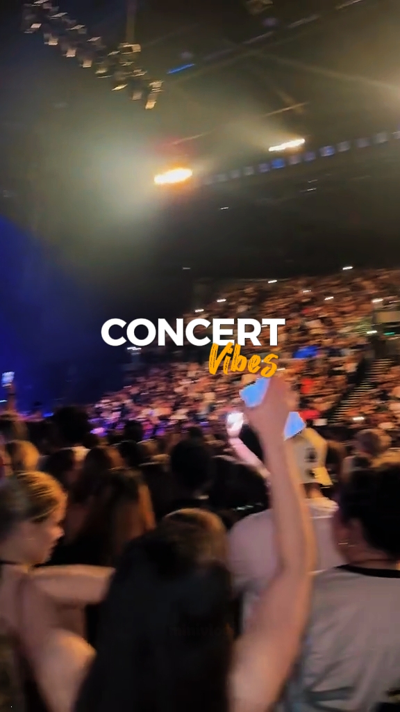 Concert Vibes