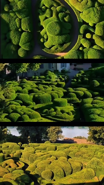 Jardinería