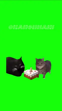 Birthday wishes 