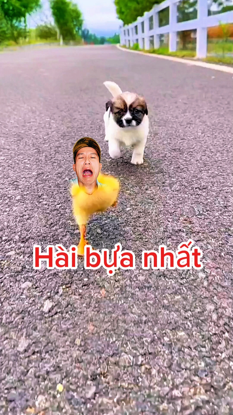 ghép hài ba 