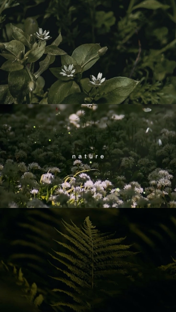 Naturaleza