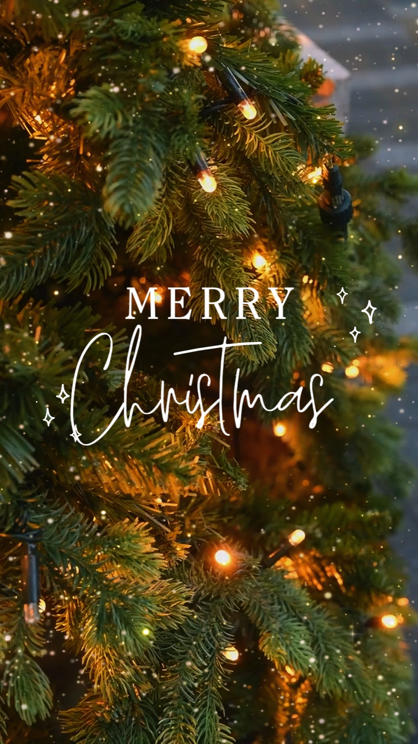merry christmas
