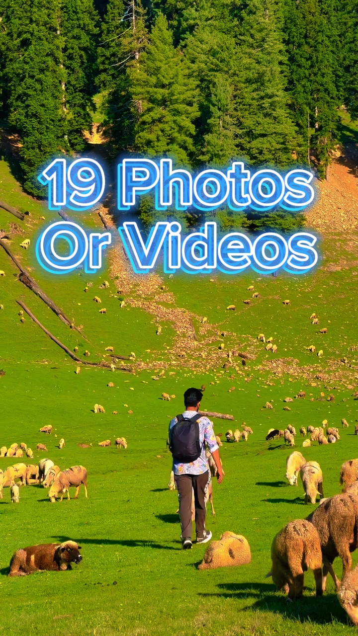 19 Diapositivas de fotos