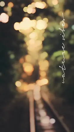 Nature Vibes❤️