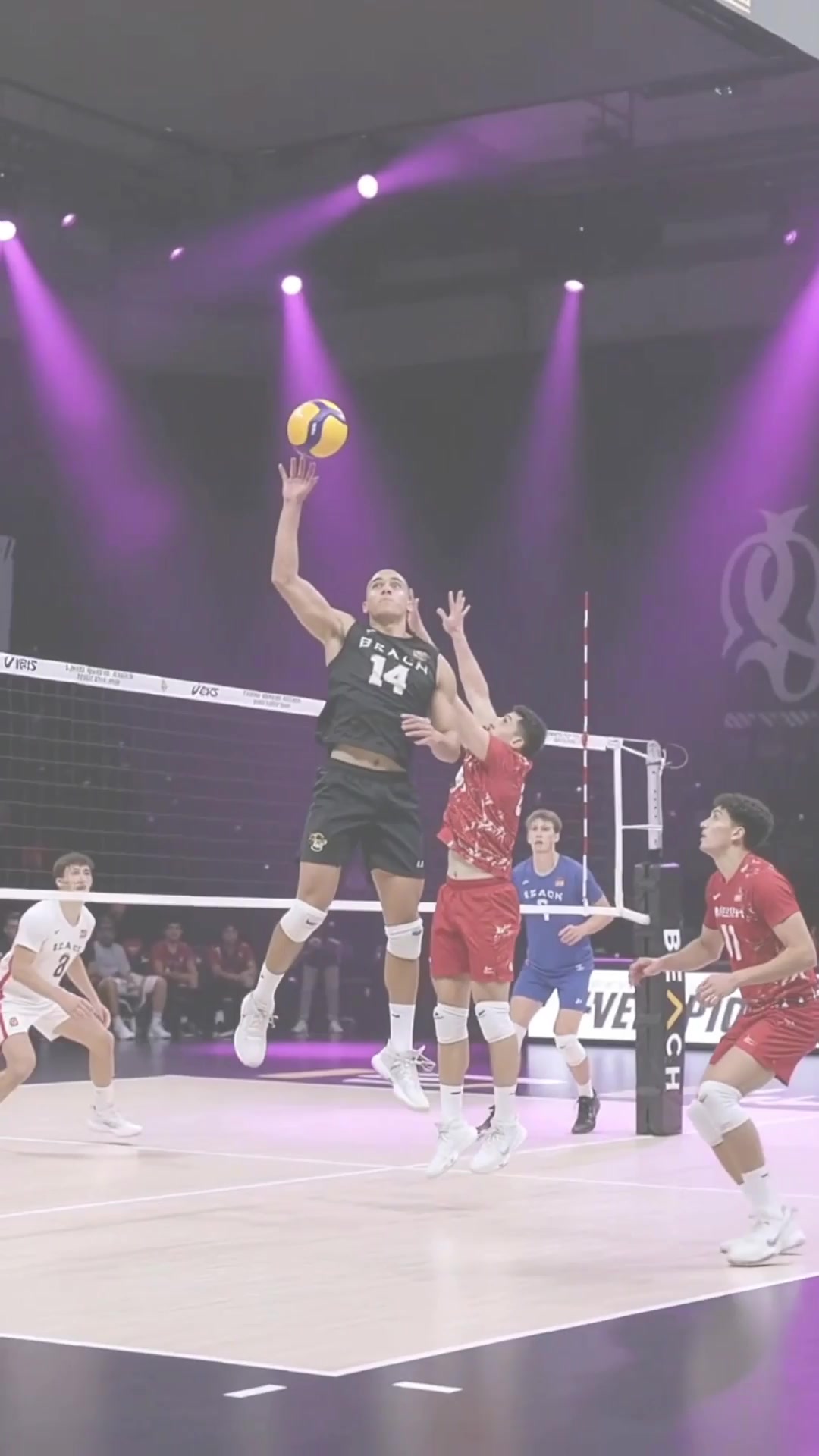 High-Octane Volleyball Reel