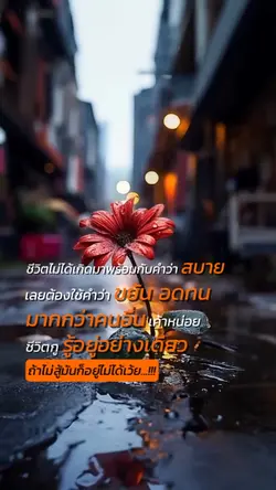ถ้าไม่สู้อยู่ไม่ได้