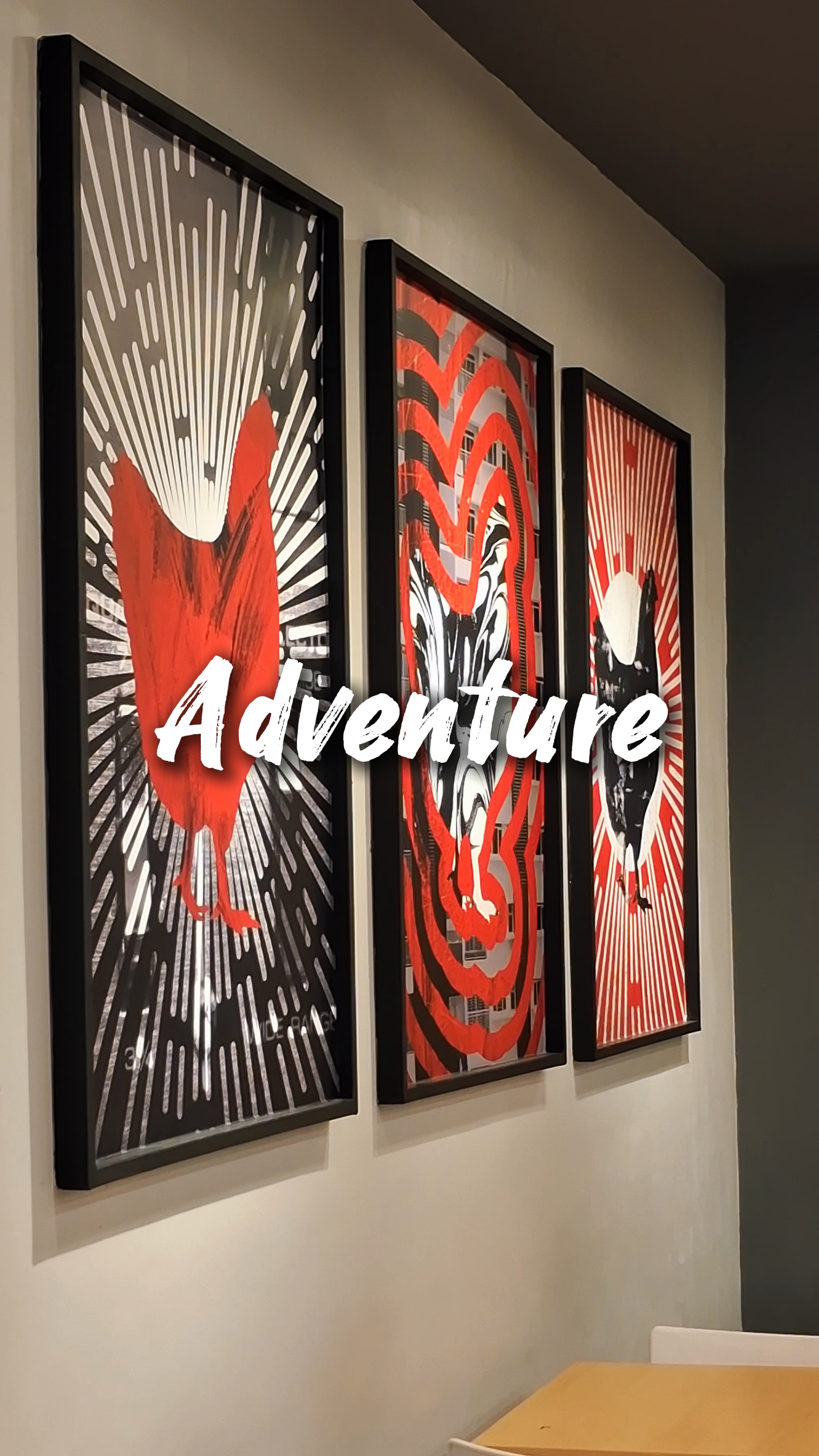 Adventure 16 Clips
