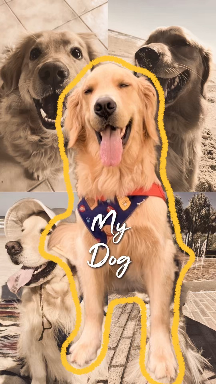 Köpeğim 
