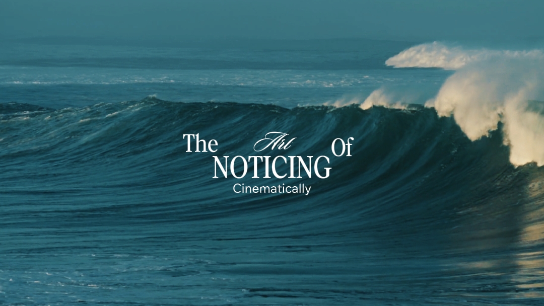 El Arte De Notar