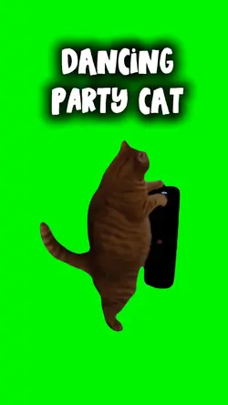 PARTY CAT