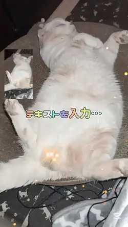 キンタマキラキラ金曜日