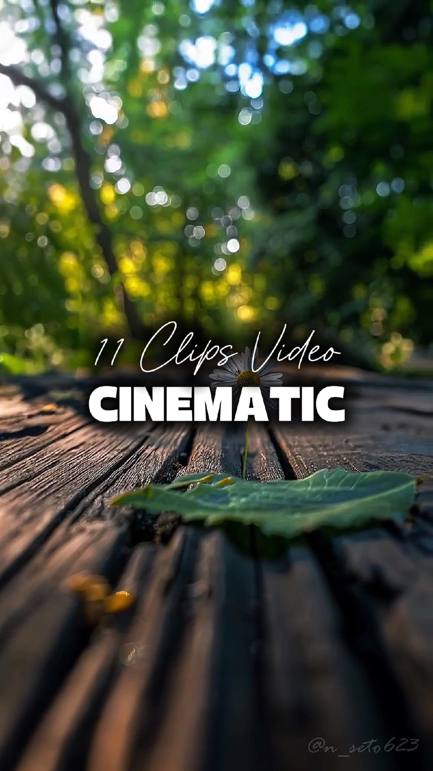 11 Mga Video Cinematic