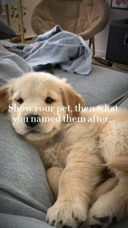 Dog named after
