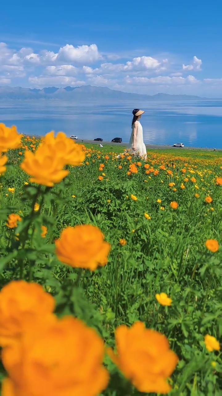 Cor da Primavera🌼