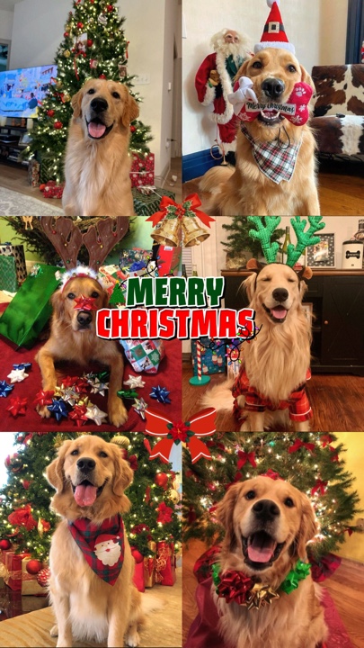 Feliz Natal