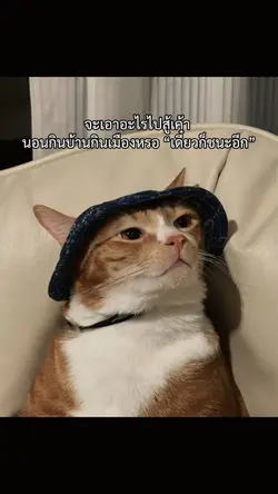 เดี๋ยวก็ชนะอีก🤣