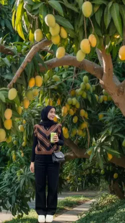Poto di bawah mangga
