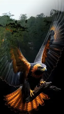 Native