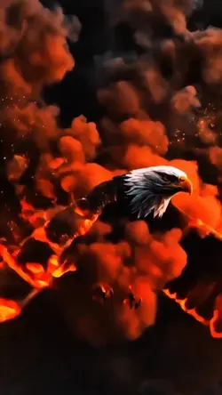 Águia de fogo intro 