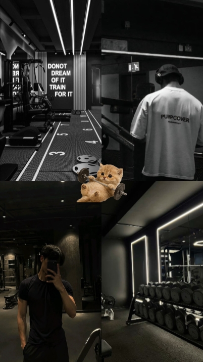Gato de gimnasio