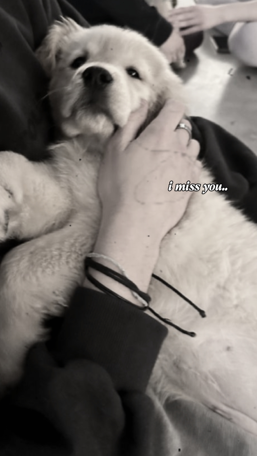 Te extraño 