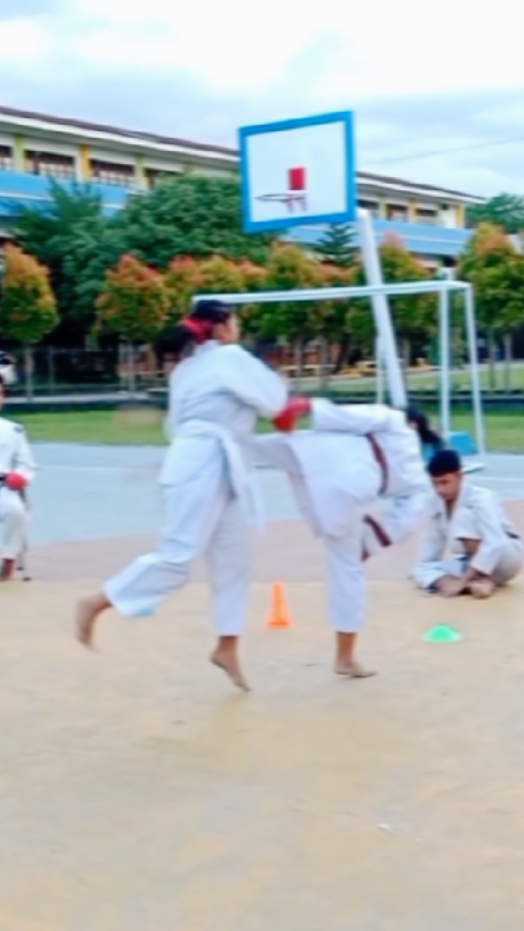 Edición de Karate 