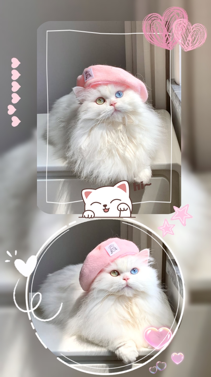 sangat lucu
