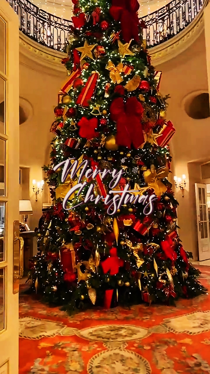 Merry Christmas