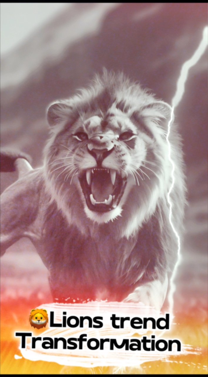 Para ti 🦁 