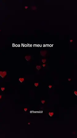 boa noite meu amor