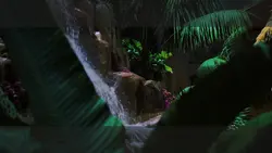 Cinematic Aesthetic