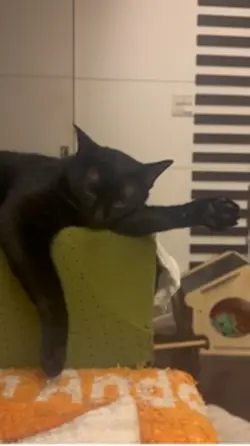Tina