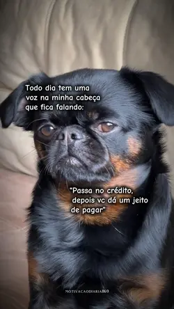 Passa no crédito