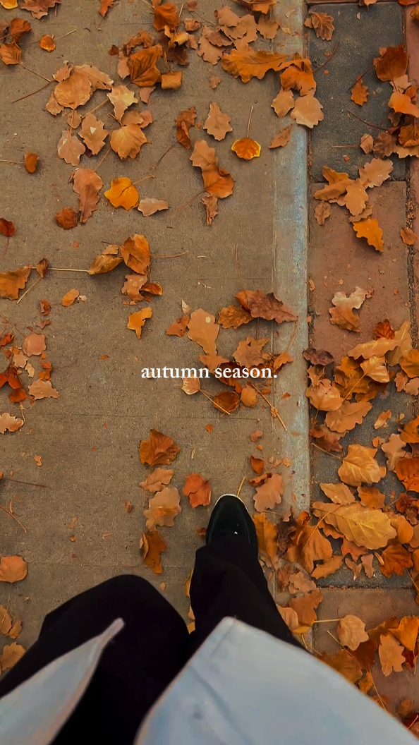 Temporada de otoño 