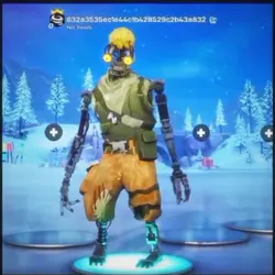 THE MIMIC