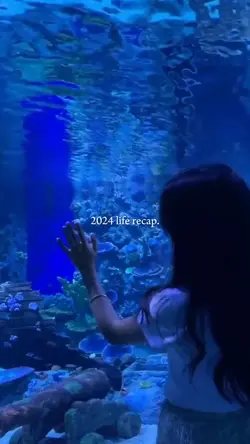 2024 life recap 