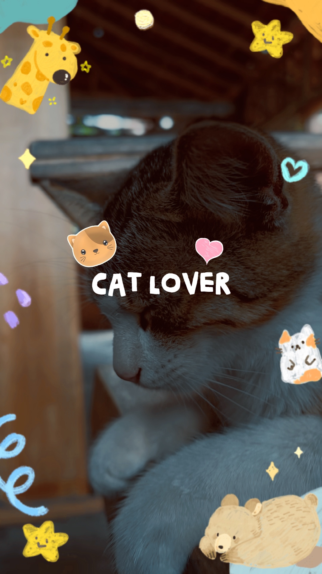 Cat Lover