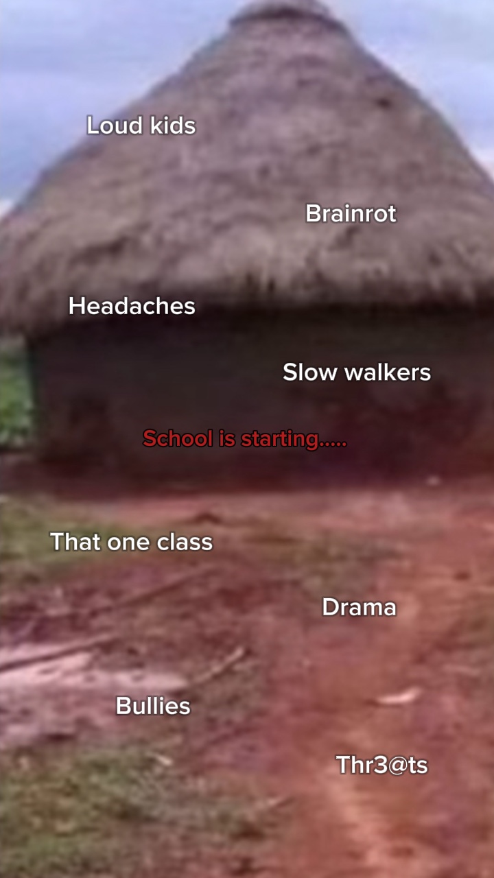 School 