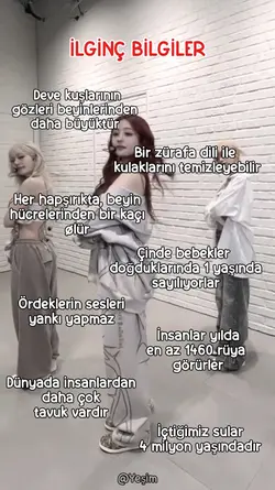 İlginç bilgiler 
