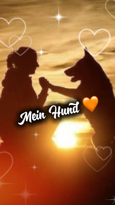 Ein Hund 🧡
