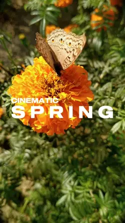 CINEMATIC SPRING